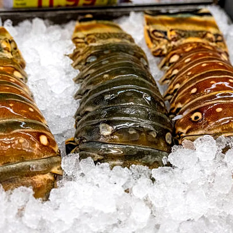 Frozen Caribbean lobster tails IQF bulk premium seafood wholesale
