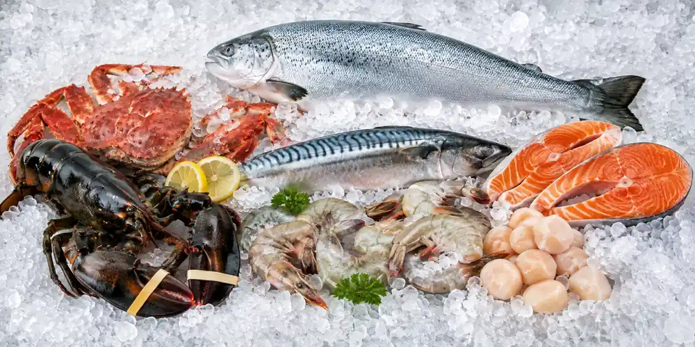 Whole crab with large claws displayed on crushed ice 