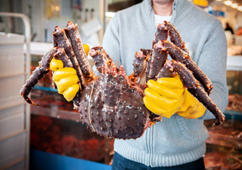 Wild-caught Alaskan red king crab—cooked, frozen clusters for consistent yield; HACCP certified with -18°C cold-chain to your door.