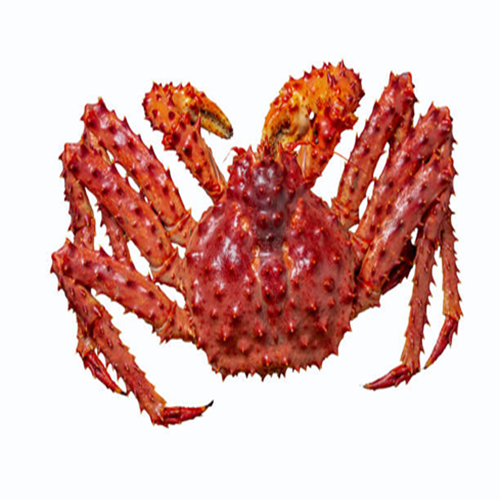 Buy wild-caught king crab online from Fresh Seafood Supply. We offer live Norwegian red king crab, frozen king crab legs, and whole crabs – sustainably sourced and shipped globally.

