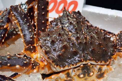 Live king crab has various sizes ranging from L1 to L5